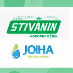 Stivanin Bombas Johia